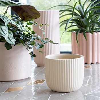Macetas beige