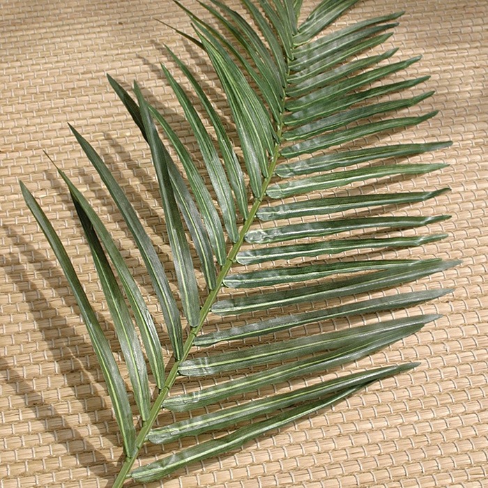 Hojas de palmera