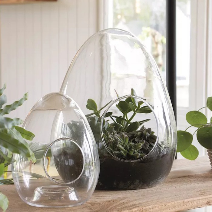 Terrarios de cristal